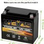 Bike Battery Weize YTX20L-BS High Performance Power Sports- Maintenance Free - Sealed AGM BS
