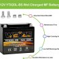 Bike Battery Weize YTX20L-BS High Performance Power Sports- Maintenance Free - Sealed AGM BS