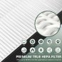 2 Pack A2 H13 HEPA Replacement Filter Compatible with 3M Filtrete Room Air Pu...