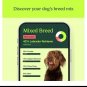 Ancestry Dog DNA Test Kit Sealed Dog Breeds-Dog Breed Identification Test, Genetics