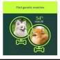 Ancestry Dog DNA Test Kit Sealed Dog Breeds-Dog Breed Identification Test, Genetics