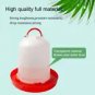 Chicken Feeder Drinker Poultry Chick Hen Quail Bantam Food Water Kettle New S5