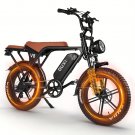 Electric Bike - HD 48 V 30 amp All-Terrain 20" Tire Electric Mountain Bike with 740W