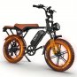 Electric Bike - HD 48 V 30 amp All-Terrain 20" Tire Electric Mountain Bike with 740W