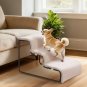 Dog Window Perch with Stairs, Pet Stairs Ramp with Seat, Dog Perch to Look Ou...