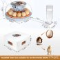 Smart Chicken Egg Incubator with Automatic Turner