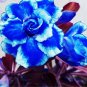 New Rare Blue Desert Rose (Adenium) 4 Seeds