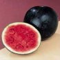 Giant Sweet Black Watermelon 40 Seeds
