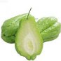 Bonsai Chayote Seeds Outdoor 60 Seeds