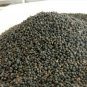 Indian Sandalwood Tree 200 Seeds