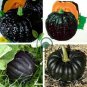 Japanese Black Pumpkin Vegetables 20 Seeds