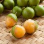 Lemon Sweet Spanish Lime Tree 20 Seeds