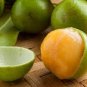 Lemon Sweet Spanish Lime Tree 20 Seeds