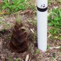 Heirloom China Moso Bamboo Shoots Tasty Vegetable 60 Seeds