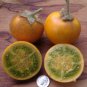 Orange Naranjilla Solanum Quitoense Fruit 200 Seeds