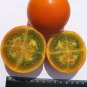 Orange Naranjilla Solanum Quitoense Fruit 200 Seeds