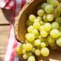 Mixed Sweet Seedless Grape Fruits 30 seeds