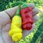 Chill Red Hot Peter Pepper 400 Seeds