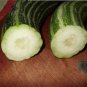 Cucumber Armenia Vegetable 100 seeds