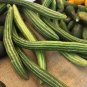 Cucumber Armenia Vegetable 100 seeds