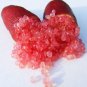 Imported Rose Red Finger Lime Pomegrante Plant 20 Seeds