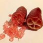Imported Rose Red Finger Lime Pomegrante Plant 20 Seeds