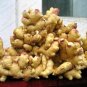 Perennial Ginger Vegetable Zingiber Officinale 200 Seeds