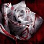 The Rarest White Blood Rose Plant Flower True 100 Seeds
