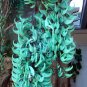 Rare Endangered Jade Vine 'Strongylodon Macrobotrys' Flower 20 Seeds