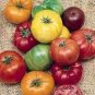 Rainbow Tomato 200 Seeds