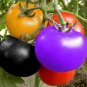 Rainbow Tomato 200 Seeds