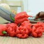 pepper chili vegetable Fresh Rare Red Carolina Reaper Pepper 400 Seeds