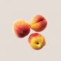 Middle-sized Nectarine Smooth-skinned Peach Fruit 4 Seeds