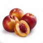 Middle-sized Nectarine Smooth-skinned Peach Fruit 4 Seeds