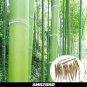 Bamboo Mixed Green Black Purple Yellow Colors 120 Seeds