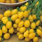 Cherry Tomato 'Yellow Grape' Fruit 200 Seeds