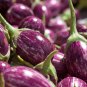 Thai Purple Mini Round Eggplant 200 Seeds