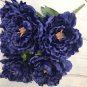 'Luo Yang' Dark Blue Tree Peony Flower Bonsai 10 Seeds