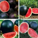Super Black Skin Red Seedless Watermelon Organic 80 Seeds