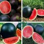 Super Black Skin Red Seedless Watermelon Organic 80 Seeds