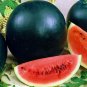 Super Black Skin Red Seedless Watermelon Organic 80 Seeds