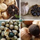 Black Garlic 200 Seeds