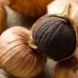 Black Garlic 200 Seeds