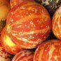 Tigger Tiger Miniature Personal Melon Heirloom Cucumis Melo 100 Seeds