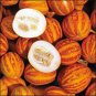 Tigger Tiger Miniature Personal Melon Heirloom Cucumis Melo 100 Seeds
