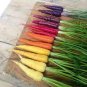 Heirloom Rainbow Yellow White Purple Orange Red Carrot Vegetable Mixed 200 Seeds