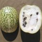 Heirloom Malabar Gourd 16 Seeds