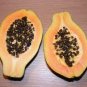 Guangxin Dark Green Skin Red Inside Papaya Fruits 12 Seeds