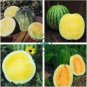 Hybrid Black Skin Round Shape Yellow Meat Seedless Watermelon 20 Seeds