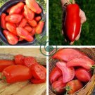 Jersey Devil Tomato 200 Seeds